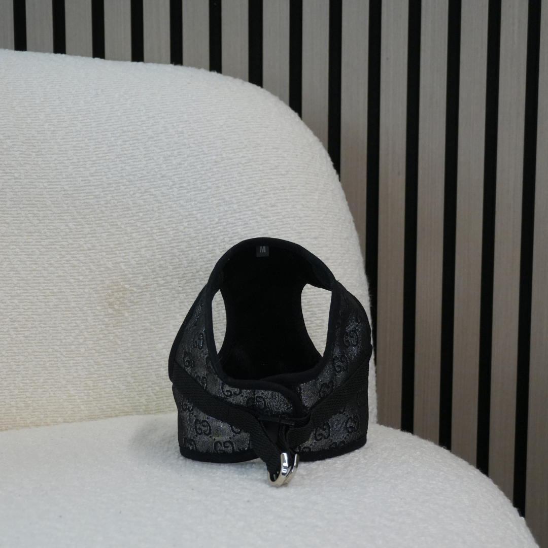 Harness - GG Silver
