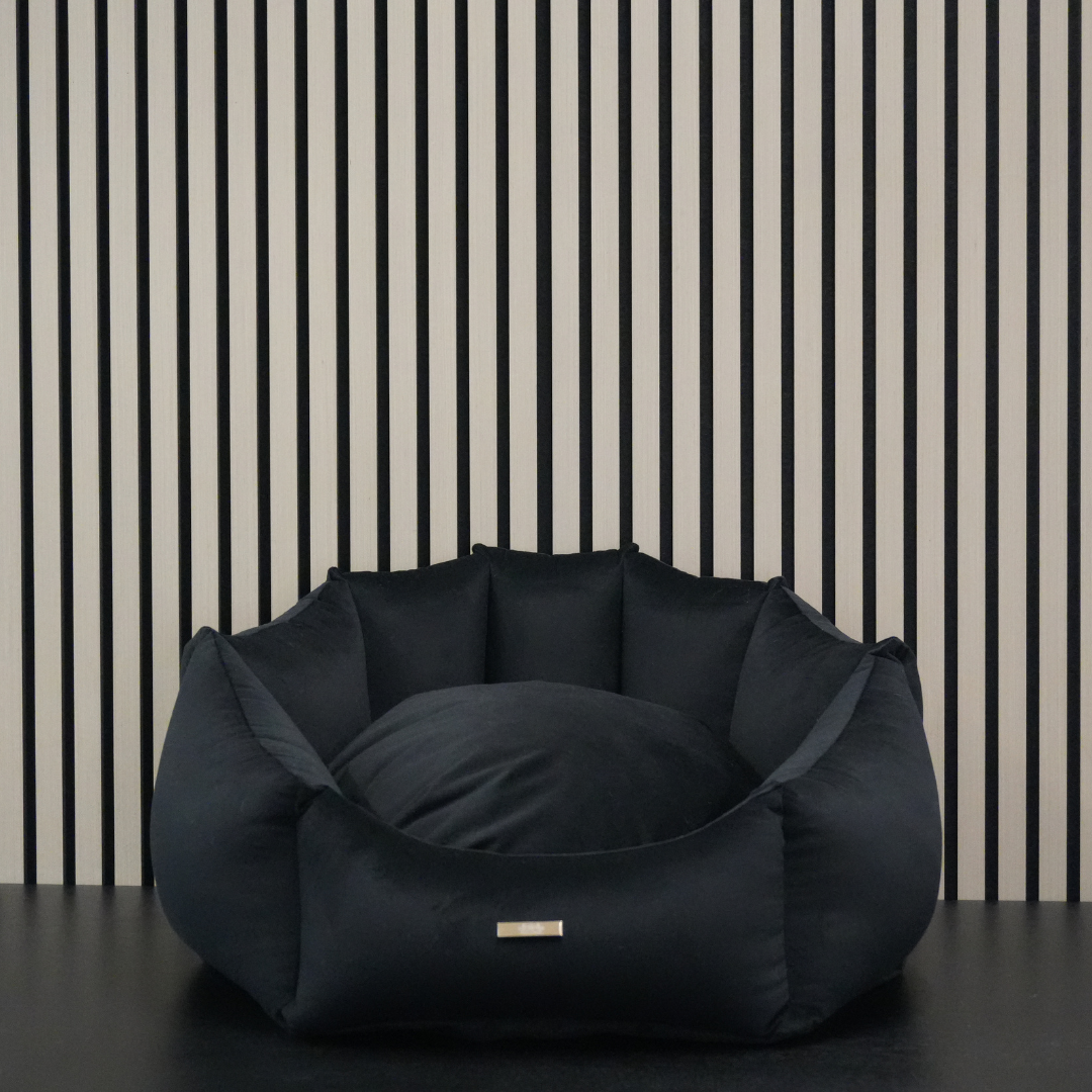 Dog Basket – Shell Black Velours