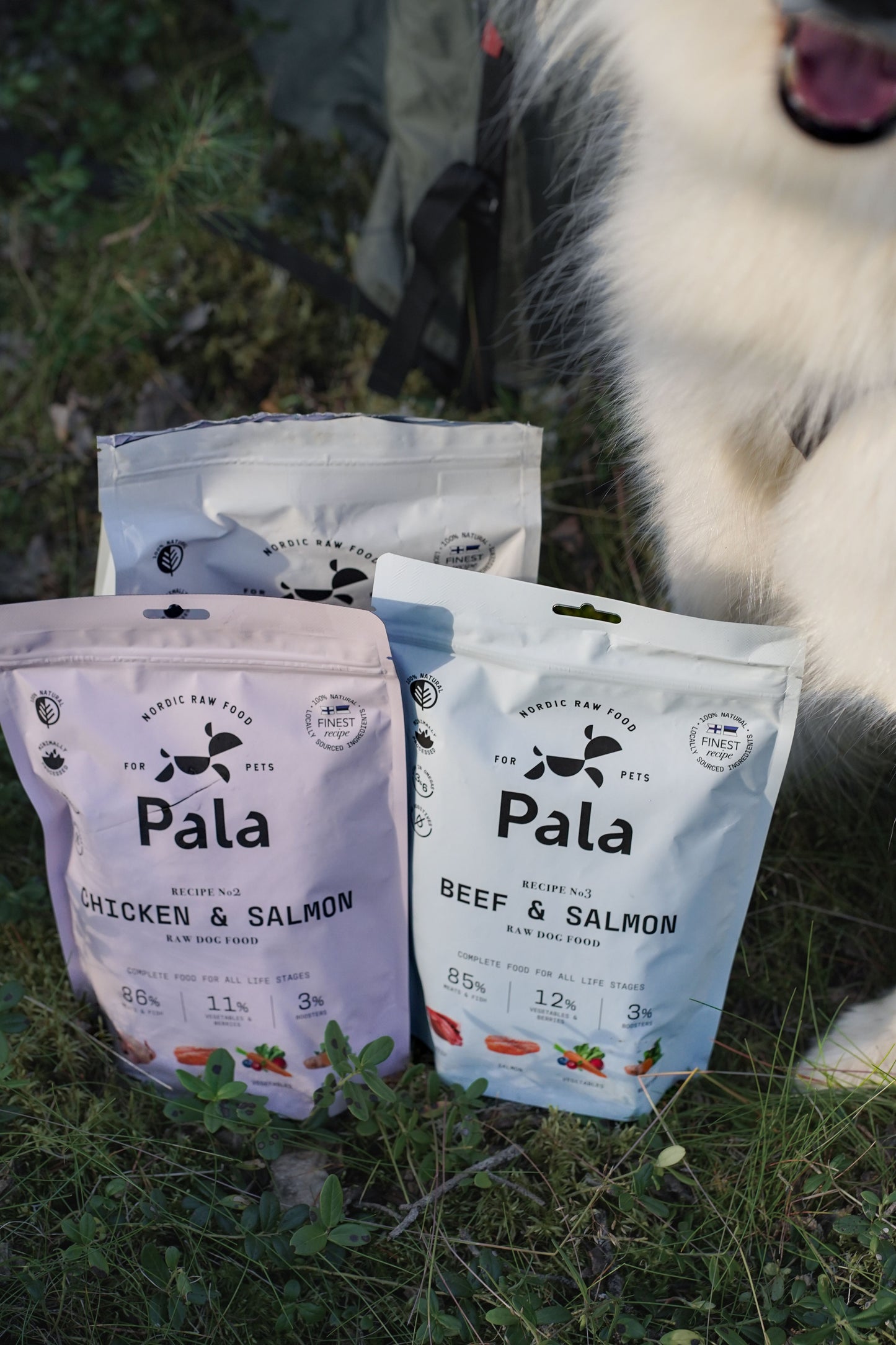 PALA Dried Dog Food - Recipe #2 Chicken & Salmon