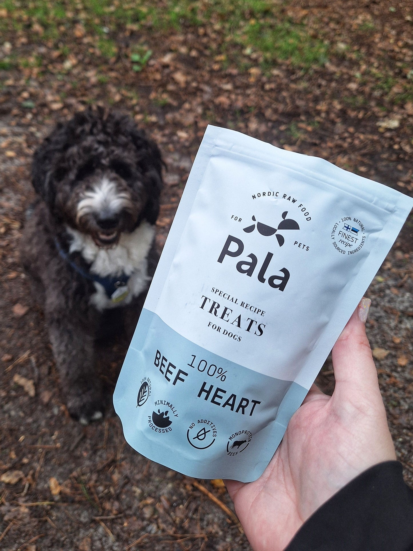 Dog Snack - 100% Beef Heart