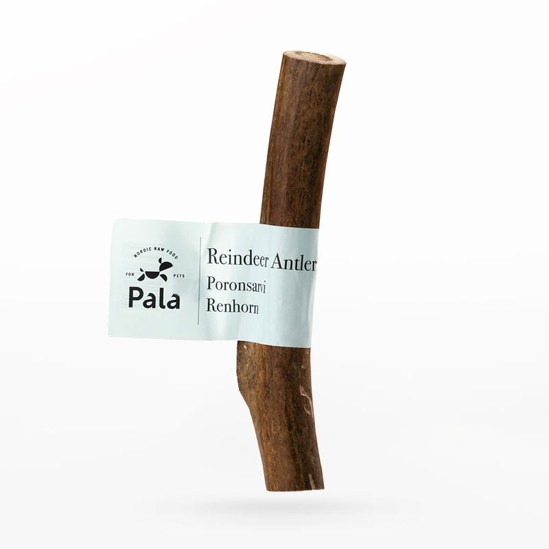PALA chewing snack - Reindeer antlers