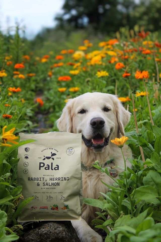 PALA dried dog food - recipe # 4 Rabbit, Herring & Salmon