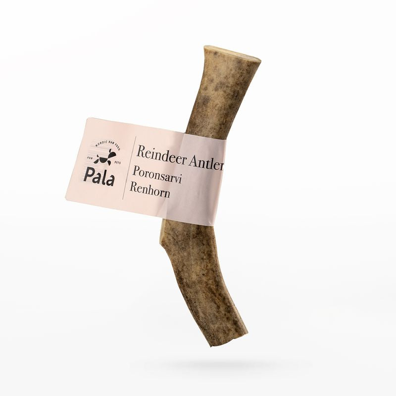 PALA chewing snack - Reindeer antlers