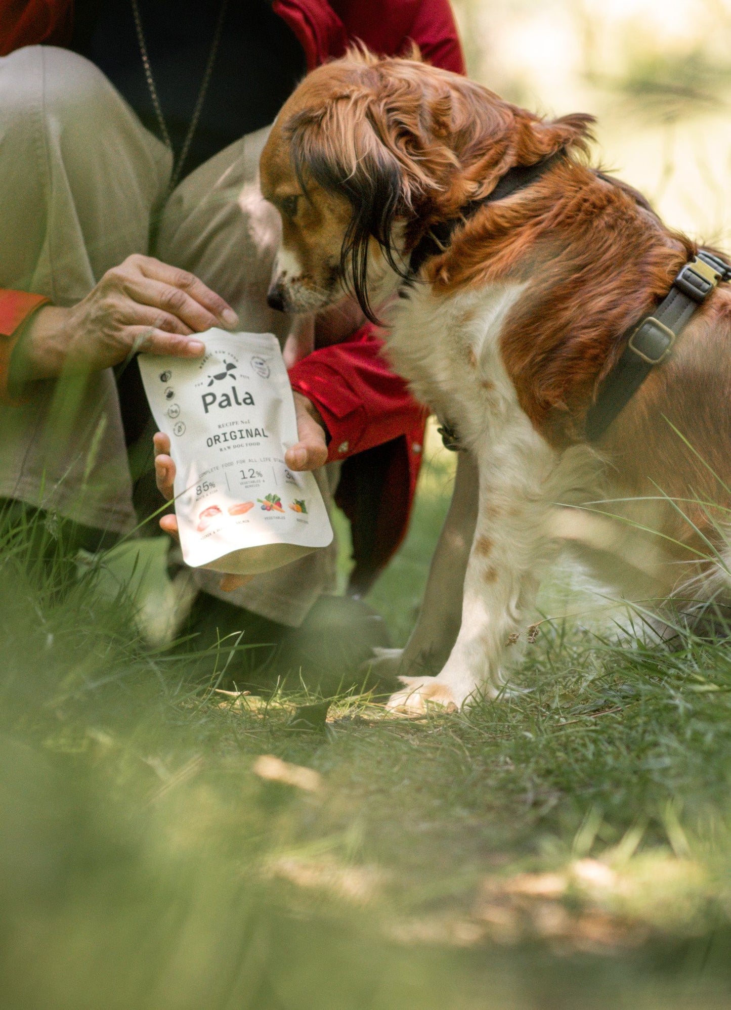 PALA dried dog food - recipe # 1 Original
