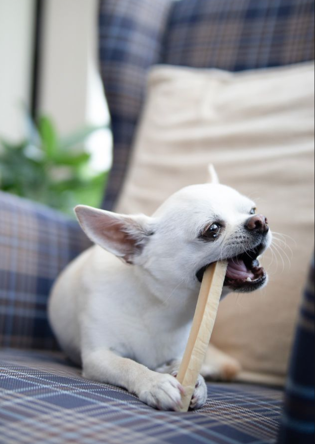 PALA chewing snack - Himalayan cheese bone